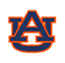 Auburn image