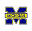 Michigan image