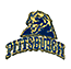 Image for PITT