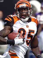 2010 Fantasy Football Rankings