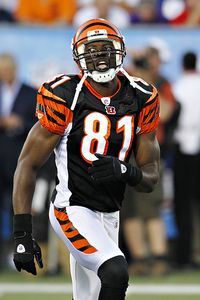 2010 Fantasy Football Rankings