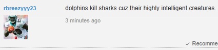 Dolphins Kill Sharks