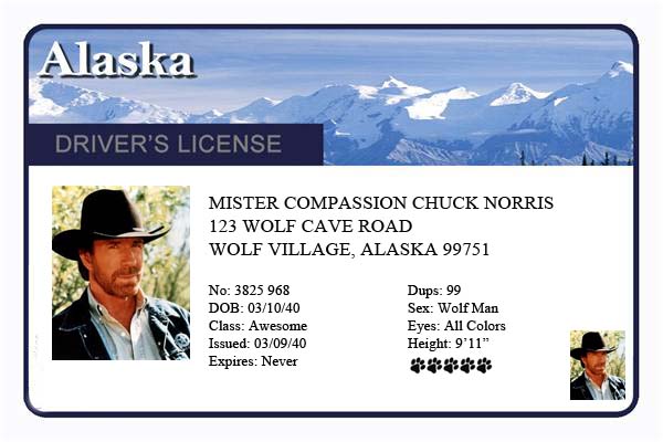 Mister Compassion Chuck Norris