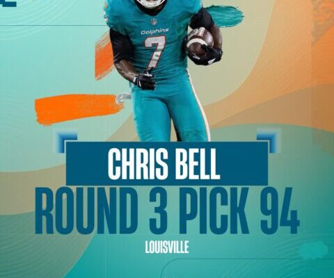 Chirs Bell to Dolphins